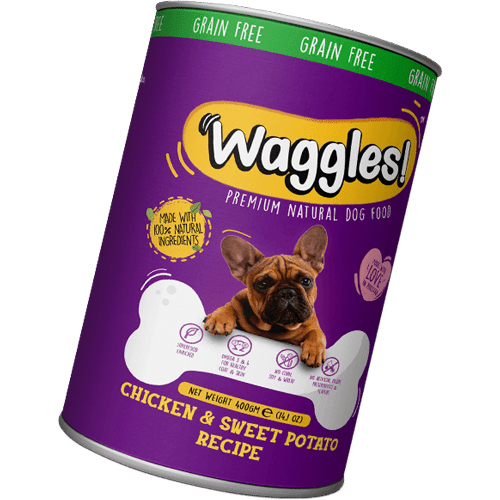 Fruta de papaya verde